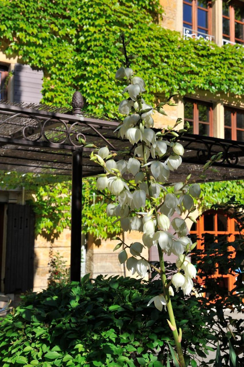 Frühstückspension L'aube Du Moulin 3*